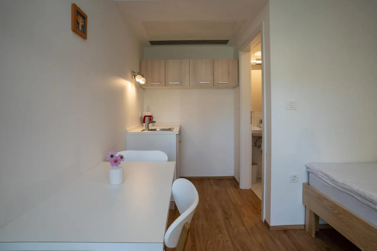 Accommodation Baron Ljubljana Guest house
