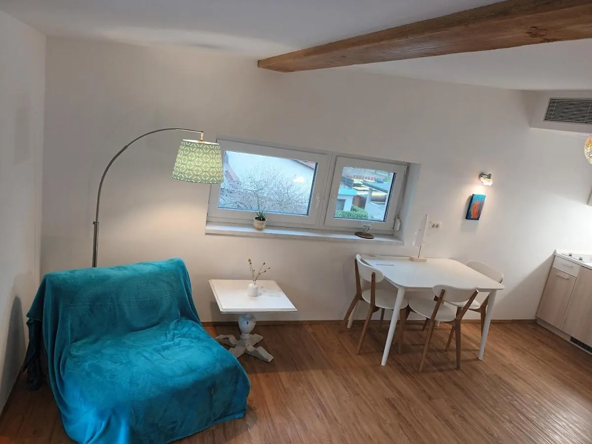 Guest house Accommodation Baron Ljubljana Slovenia
